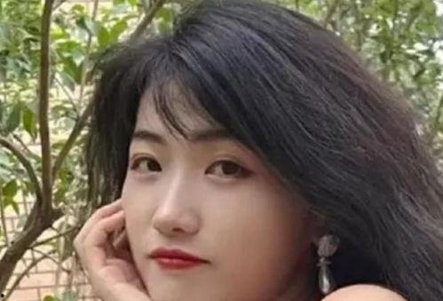 网红梦即评,揭秘网红背后的真实世界