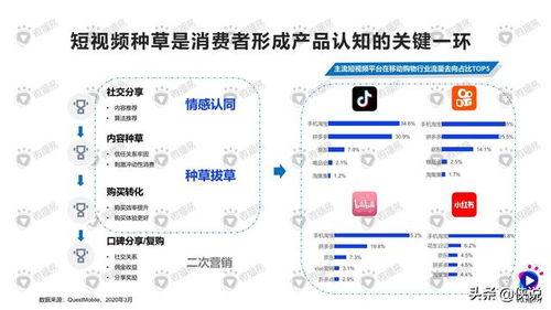 头条视频带货逻辑是什么,掌握核心逻辑，轻松实现高效转化
