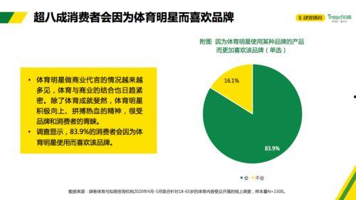 明星体育营销策略,打造品牌新高度