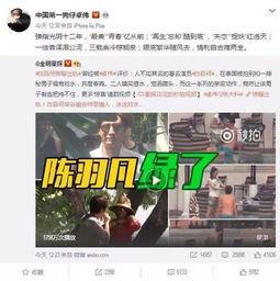 高邑爆料出轨事件视频,出轨事件视频曝光，真相令人震惊