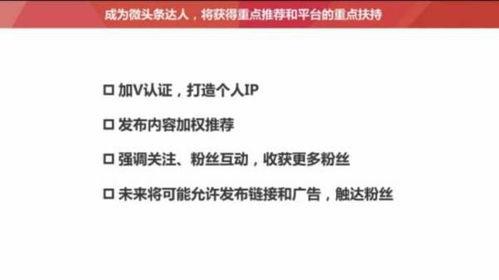 头条粉丝900多,揭秘热门话题背后的故事！”