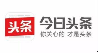 今日头条坐垫图片尺寸,探索时尚与舒适融合的完美尺寸