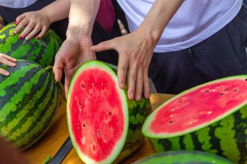 寝室同学喝多了吃瓜,一场寝室里的欢乐闹剧