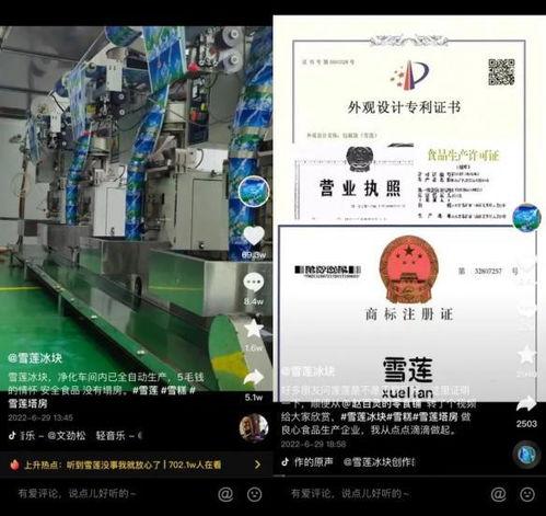 雪莲爆料视频大全集最新