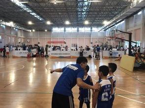 东方启明星篮教练,教练智慧引领下的篮球新篇章