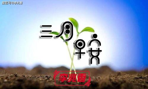 头条早安打卡文案,开启元气满满的一天！”