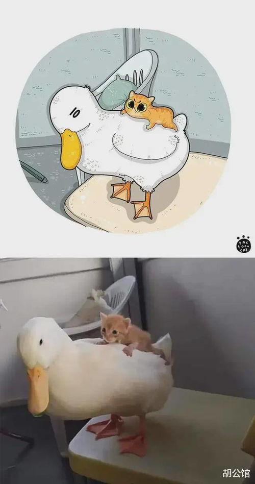 网红绘画照片,捕捉光影之美，展现艺术魅力