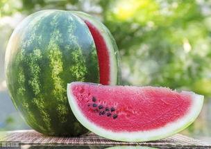 大智喜欢吃瓜,一场味蕾的瓜香之旅