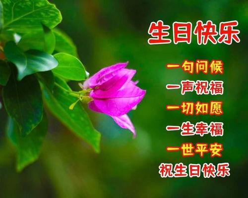 送给头条朋友的句子图片,头条友情的温暖瞬间