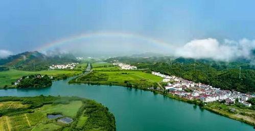 武宁区清江乡新闻头条,乡村振兴新篇章，清江乡发展成果瞩目