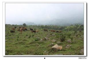 网红景点罗定县,魅力古韵，现代风情交融之地
