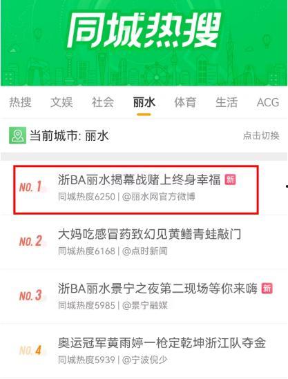 丽水头条新政府补助,助力企业创新发展