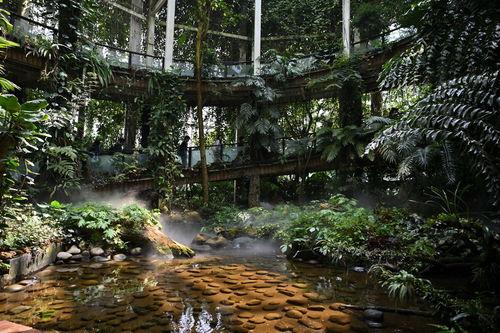 昆明植物园爆料视频最新